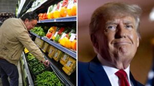 Kris Mayes lauds federal judge's ruling that Trump admin must fully fund SNAP benefits in November