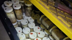 Sinaloa Cartel member pleads guilty to drug charges in Arizona