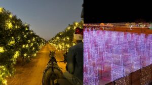Desert Farm Lights holiday event set to return, light up the West Valley