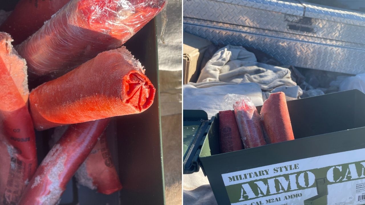 Officers with the Apache Junction Police Department safely seized explosives after responding to a ...