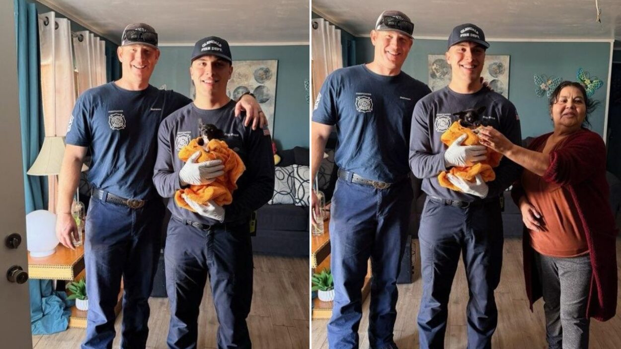 Firefighters saved a puppy that got stuck in a sink at a home in Glendale on Tuesday, authorities s...