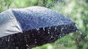 Going out on New Year's Eve? Storm system to ring in 2026 with light rains