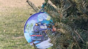 Arizona students design Christmas ornaments for White House tree