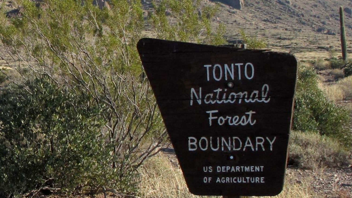 Search crews located the body of a missing Mesa man in a Tonto National Forest hiking area. (BLM ph...