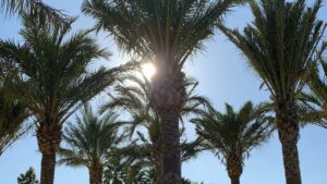 KTAR Weather Center: Forecast, radar maps and latest news
