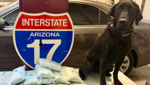 Arizona K9 sniffs out 70,000 fentanyl pills in vehicle carrying 2 small kids