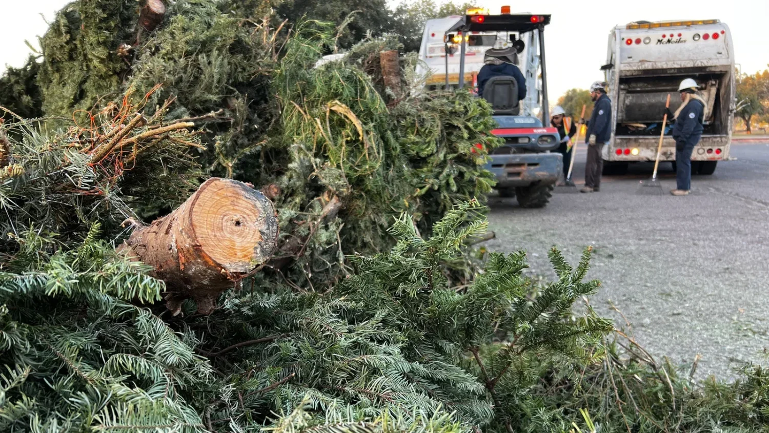 Have a Christmas tree you need to get rid of? Here’s a list of drop-off sites for live Christmas ...