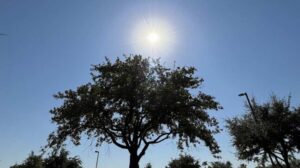 Phoenix breaks 83-year-old heat record, setting new high mark for 2nd straight day