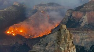 Grand Canyon plans to partially reopen North Rim after last year's devastating Dragon Bravo Fire