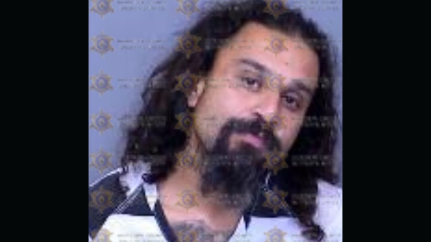 hatchet attack avondale police department...