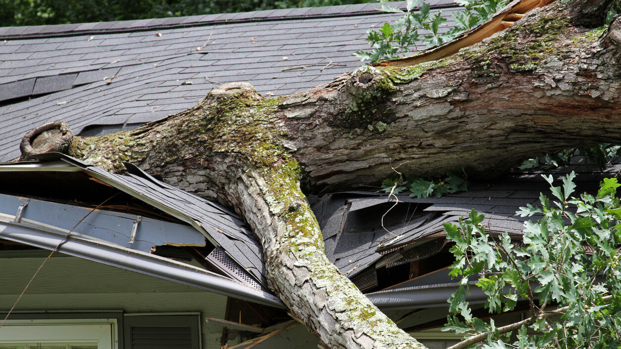 Longtime residents know that extreme weather is very much part of desert living. Here is how to pro...