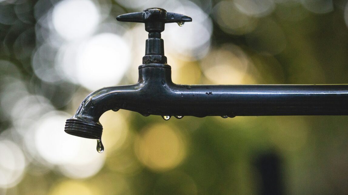 The Chandler City Council unanimously adopted an ordinance to increase water, wastewater and reclai...