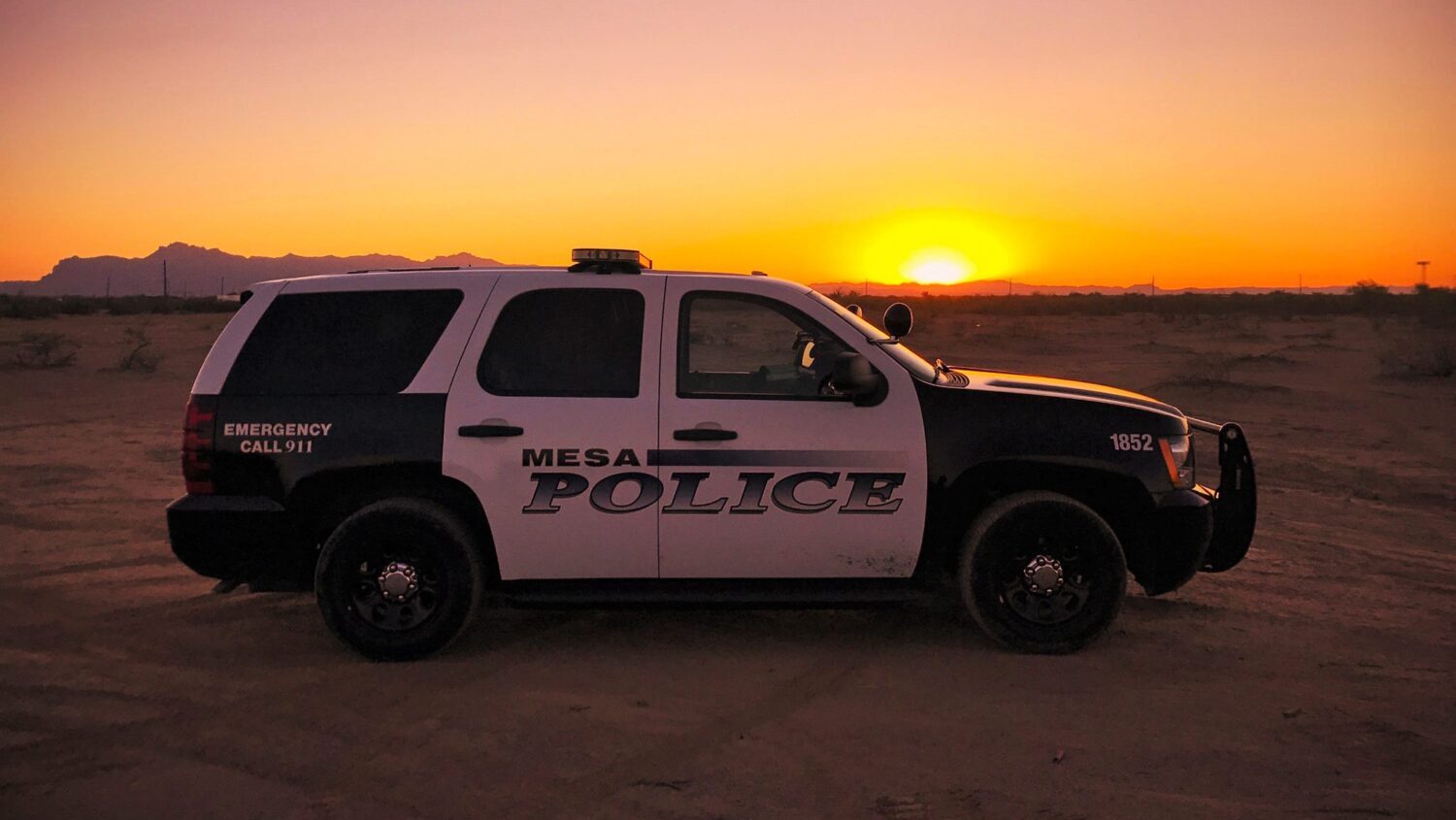 mesa apartment stabbing new year's eve...