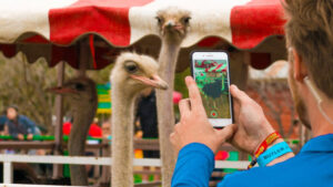 Chandler Chamber Ostrich Festival moving to new location with more space 2026
