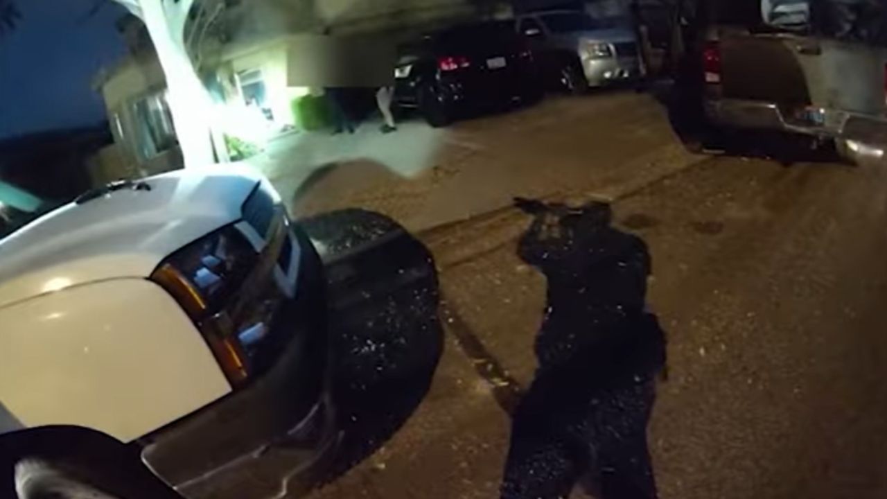 The Phoenix Police Department released bodycam footage that shows the moments leading up to one of ...