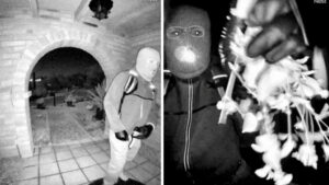 How authorities deal with thousands of tips in Nancy Guthrie case