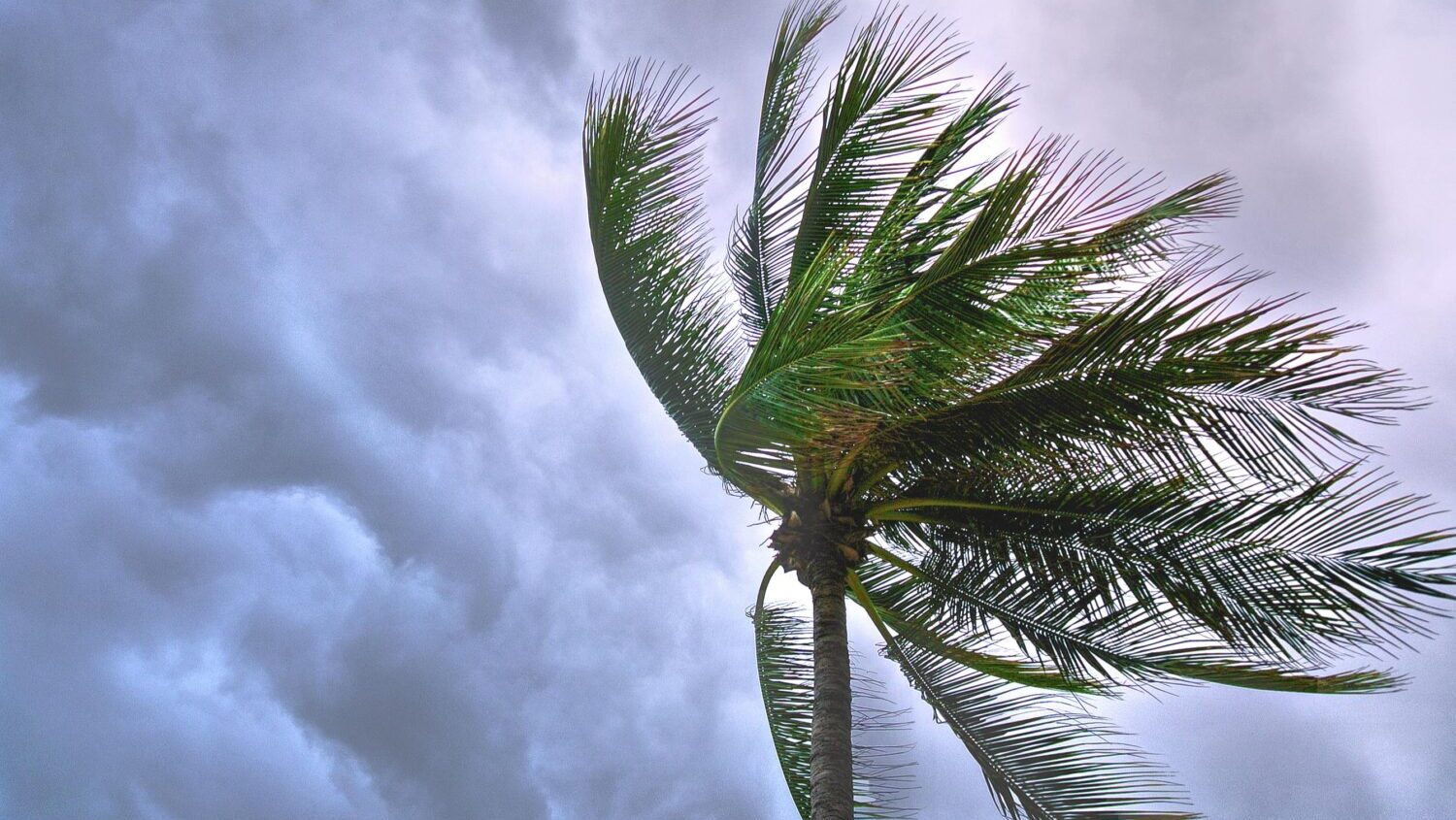 A cold front is expected to arrive in metro Phoenix on Monday night, bringing along scattered showe...