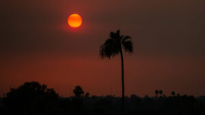 Phoenix sets new daily heat record, ties monthly record as February heat wave rolls on