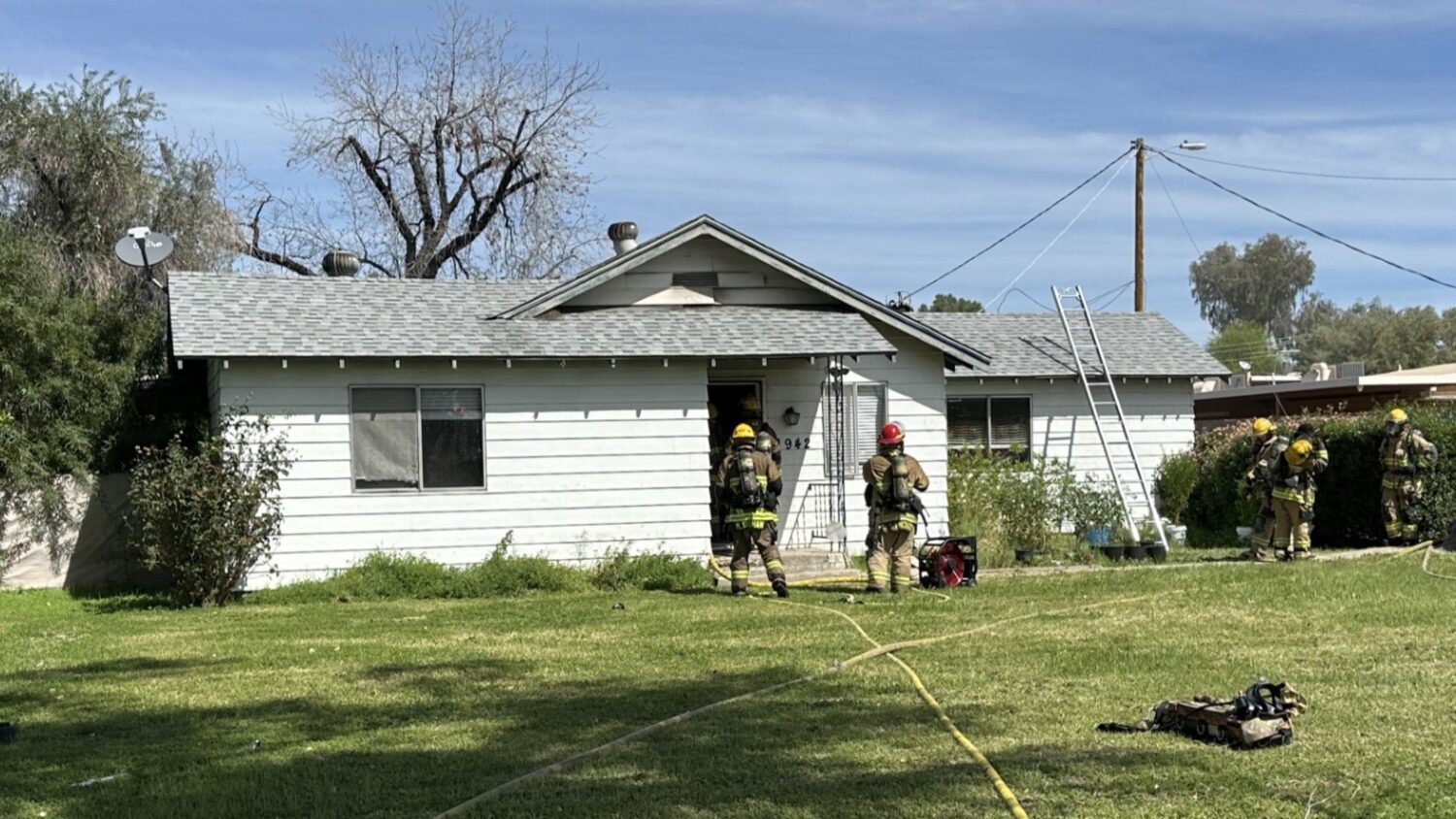 Three cats died as the result of a Phoenix house fire...