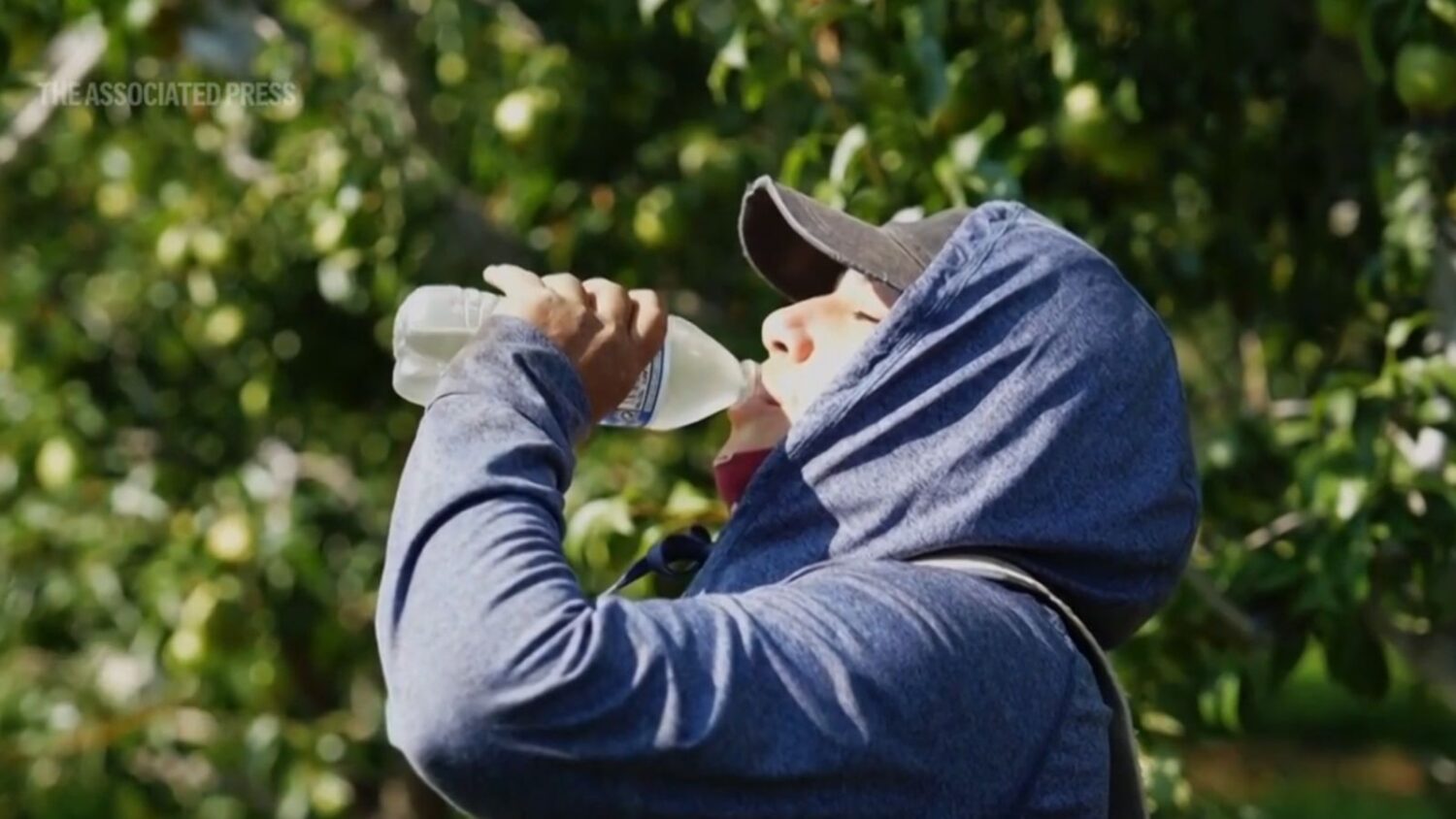 phoenix 7th straight day heat record arizona...