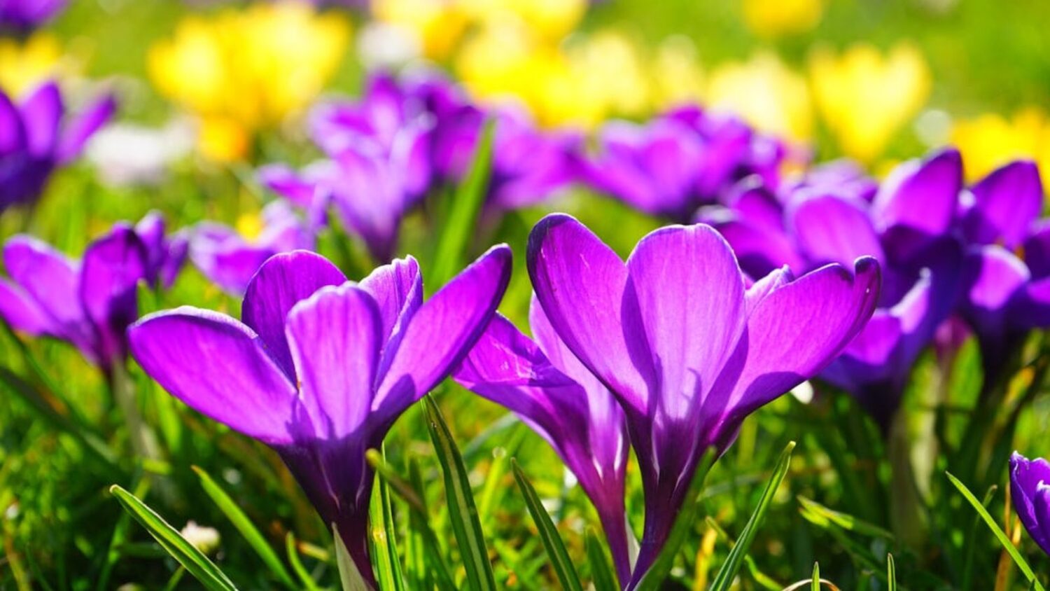 Give your budget a spring reset and make sure your money plan is still working for you...