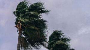 Valley could see more high winds to start week as historically hot March winds down