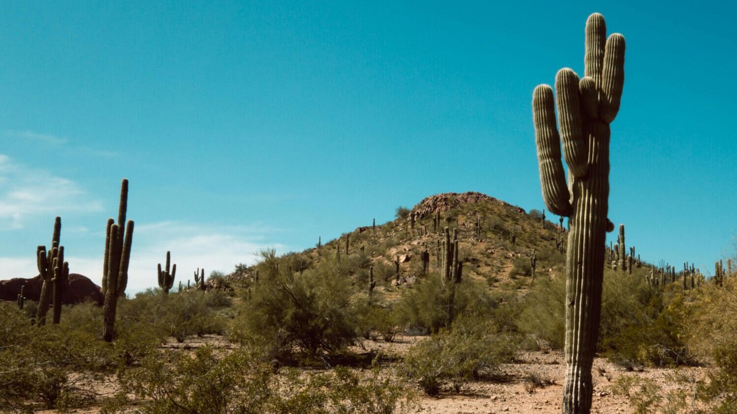 daily heat record March 22 Phoenix, Arizona...