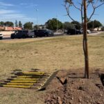 newly planted tree was placed in honor of Emily Pike