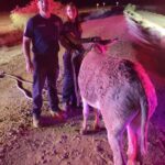 Eloy firefighters rescued a donkey trapped in the Central Arizona Project canal. (Eloy Fire District photo via Facebook)