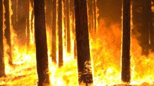 Record heat sets the stage for an especially dangerous wildfire season in Arizona