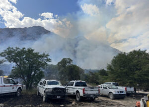 'GO' evacuation ordered for Cochise County camping area due to Shaw Fire