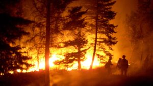 Maricopa County, Phoenix parks implementing fire ban May 1