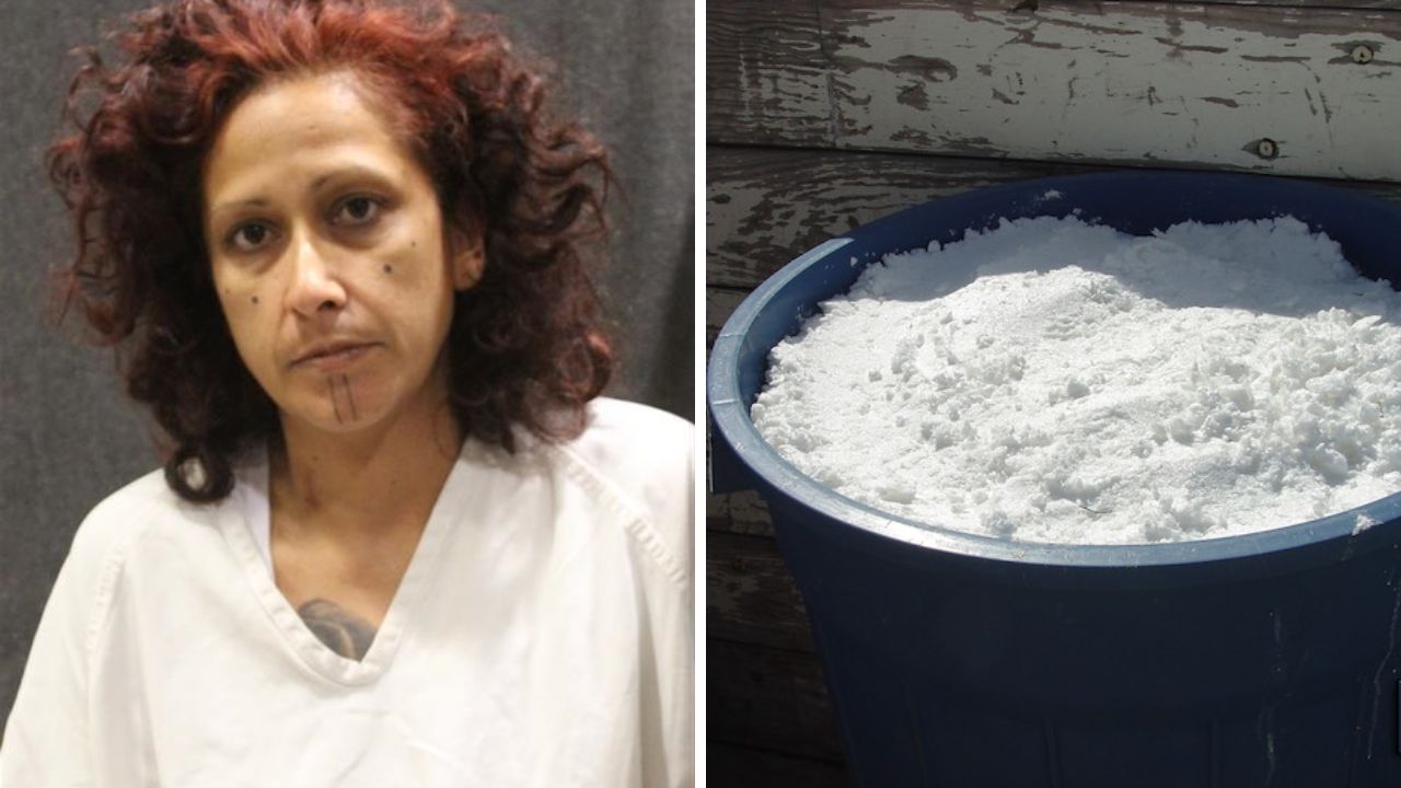Land mines, meth sold by Arizona woman sentenced to 14.5 years...