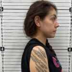 Brenda Liliana Rivera-Estrada ICE rollover driver