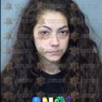 Brenda Liliana Rivera-Estrada MCSO rollover driver