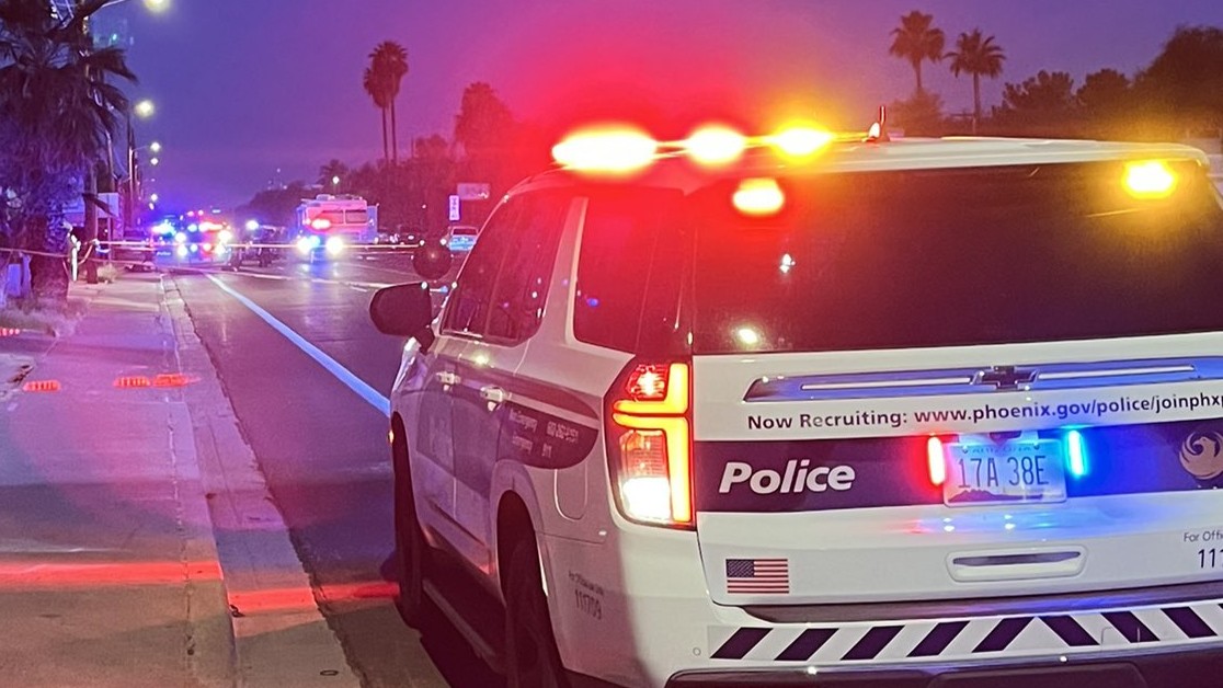 A pedestrian was killed in an alleged hit-and-run...