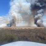 The Hazen Fire started on May 2, 2026, in Buckeye. (Arizona Department of Forestry and Fire Management photo)