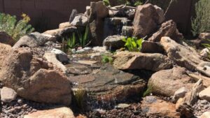 What Arizona homeowners need to consider when installing a water feature