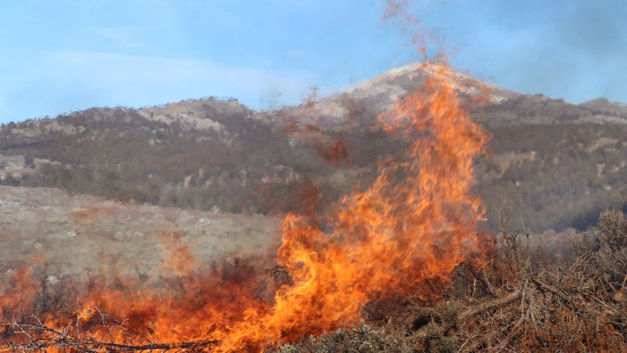 Fire restrictions underway in Tonto National Forest, State Trust Lands...
