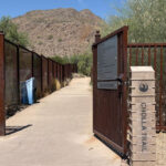 Bees attacked multiple hikers at Camelback Mountain in Phoenix on Tuesday. (Phoenix Fire Department photo)