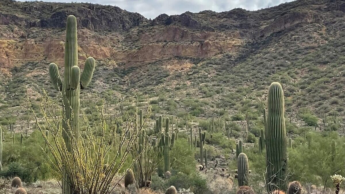 campsites advanced reservations Maricopa County residents...