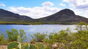 Arizona lake closed due to potential safety hazards after fish kill event