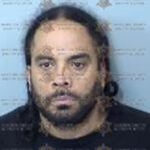 Lee Arthur Simmons Jr. (MCSO photo)