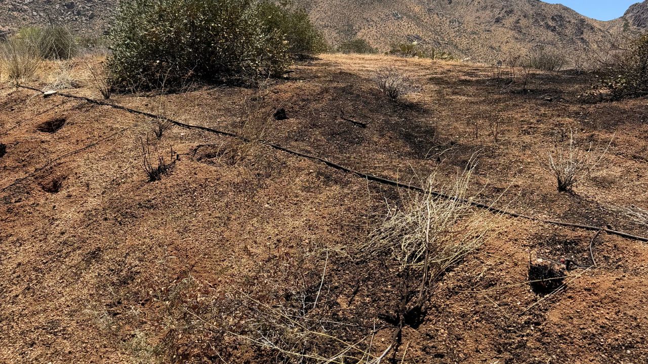 Construction crews started 2 brush fires in Scottsdale...
