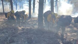 Firefighters wrapping up work battling Spring Fire near Flagstaff