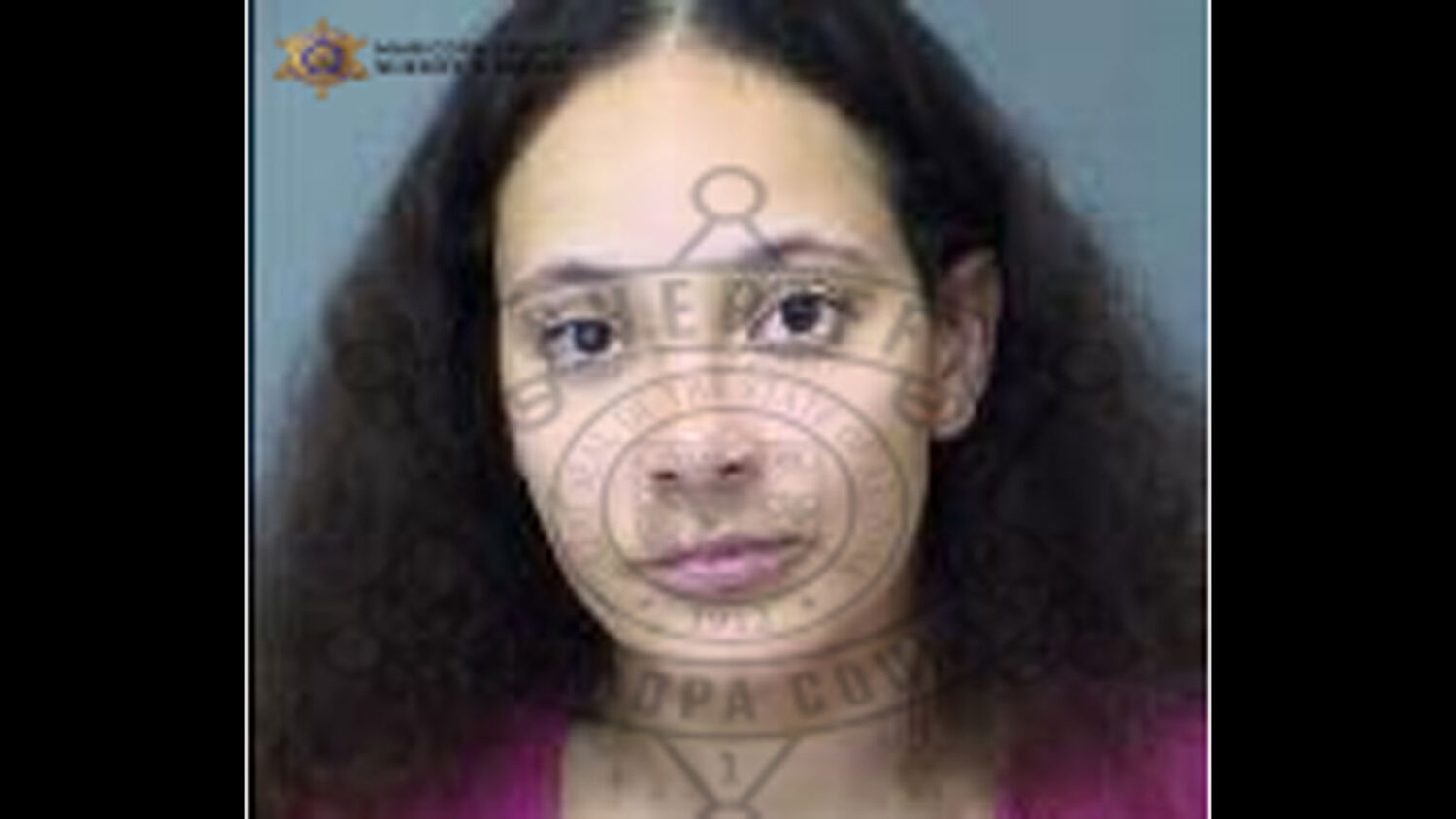 Camry Bridges, who is suspected of DUI, was driving with her baby in the car when she allegedly str...