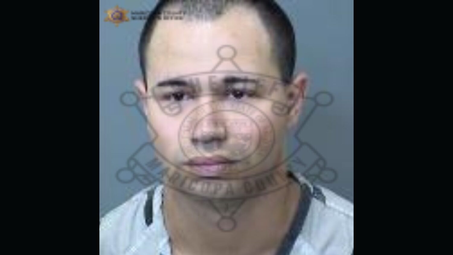 Glendale murder suspect accused of snatching purses from senior women...