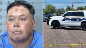 Suspect arrested after bicyclist killed in hit and run in Phoenix