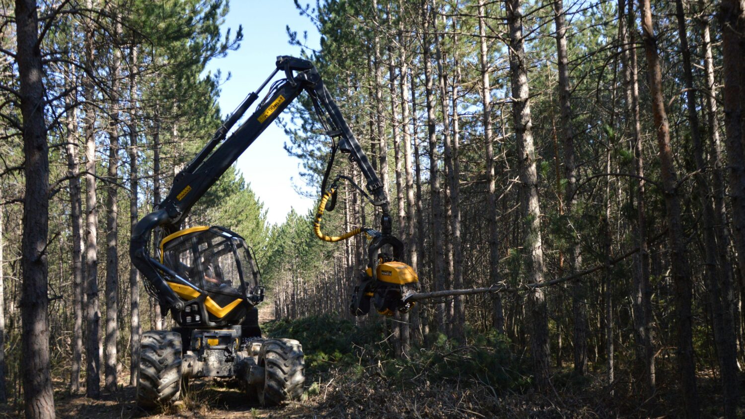 A generic forestry masticator, as Arizona DFFM will begin a fuels reduction project near Prescott. ...