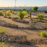 Phoenix has replaced nonfunctional grass with drought-tolerant landscaping to conserve water. (City of Phoenix photo)